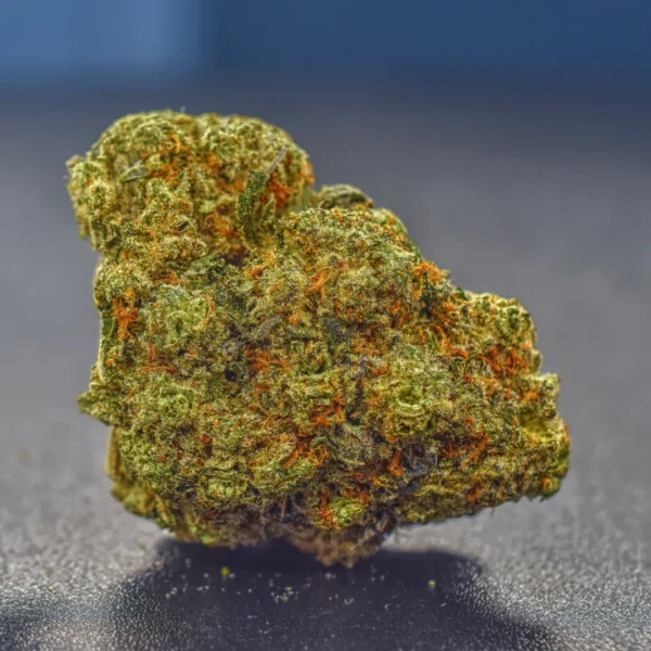 Gallery Thumb