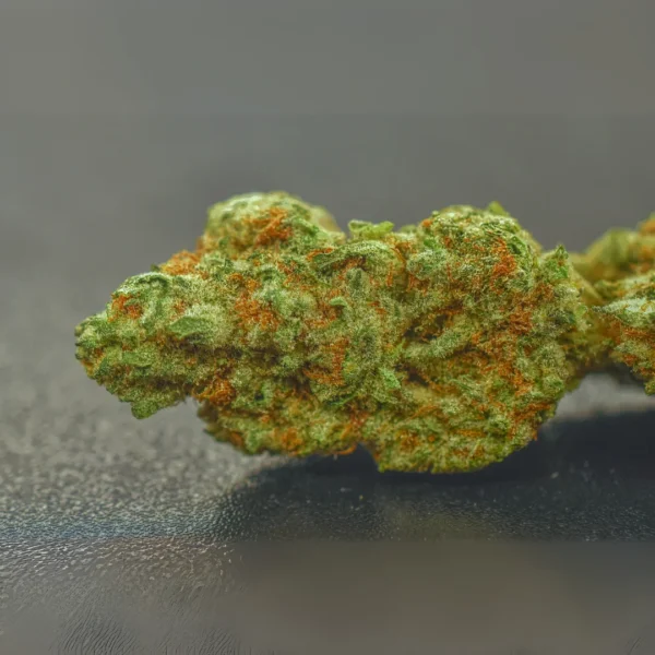 Gallery Thumb