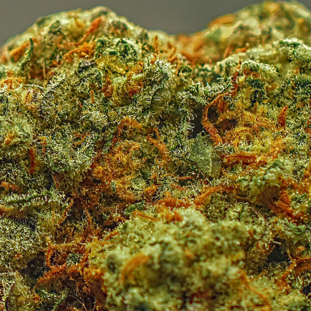 Purple punch 2