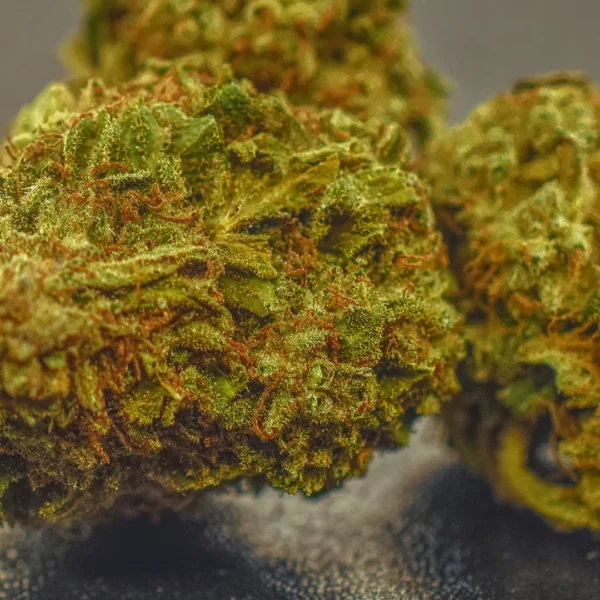 Gallery Thumb